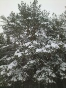 270120131060.jpg