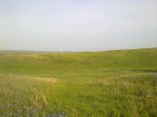 22052011440.jpg