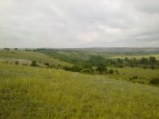 03072011515.jpg