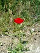 22052012846.jpg
