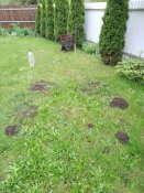 IMG_20200530_080417.jpg