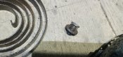 20200531_003039_mfnr.jpg