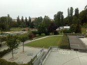 IMG_20200531_084704.jpg