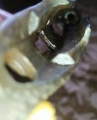 IMG_20200526_124932.jpg