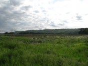IMG_0374.JPG
