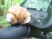 IMG_0383.JPG