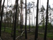 IMG_0391.JPG