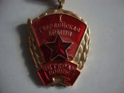 1-я Гвардейская Армия. Ветеран войны
