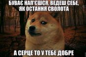 изображение_viber_2020-05-31_19-53-231.jpg