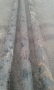20200601_171359.jpg