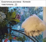 изображение_viber_2020-05-30_22-49-161.jpg