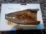 20130103_133949.jpg