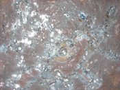 DSCN5959.JPG