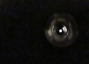 IMG_9305.JPG