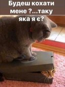 изображение_viber_2020-06-02_23-05-37.jpg