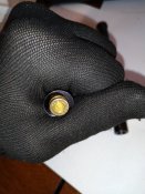 IMG_20200525_074412.jpg