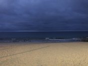 96A2B522-F398-47D5-ADF7-2CC4B53FED87.jpeg
