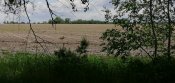 IMG_20200601_145611.jpg