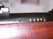 IMGP8630.JPG