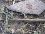 DSCN4873.jpg