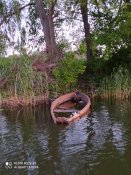 IMG_20200602_210631.jpg
