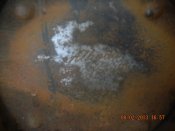 DSCN0649.JPG