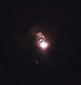 IMG_20200605_123330_404.jpg