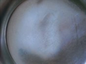 DSCN6000.JPG
