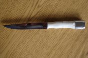DSC04302.JPG