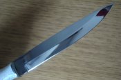 DSC04317.JPG