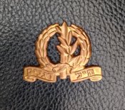 Беретный знак Израильской армии