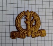 Беретный знак Израильской армии