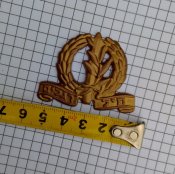 Беретный знак Израильской армии