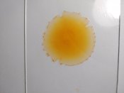 IMG_20200607_175947.jpg
