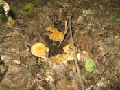 IMG_0457.JPG