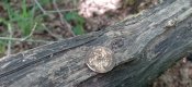 20200607_151154.jpg
