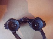 DSC08130.jpg