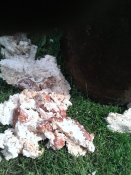 IMG_20200608_150929.jpg