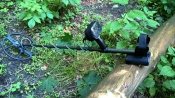 WP_20200607_16_44_57_Pro.jpg