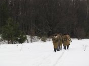 IMG_4667.jpg