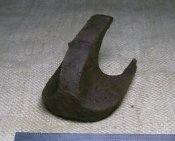 1 (11).JPG
