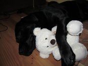 IMG_0117.jpg