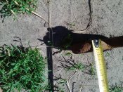 IMG_20200611_155814.jpg