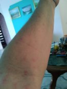 IMG_20200613_064907.jpg