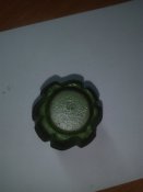 IMG_20200613_173259.jpg