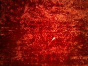 08022013184.jpg