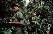 Khmer Rouge guerrillas in the jungle of western Cambodia as they attempt to halt advancing Vietn.jpg