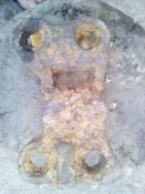 IMG_20200614_201110.jpg