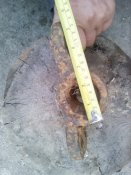 IMG_20200614_201047.jpg