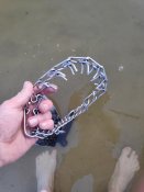 IMG_20200615_050318.jpg